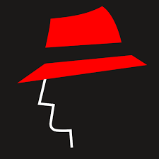 The Detailing Mafia logo